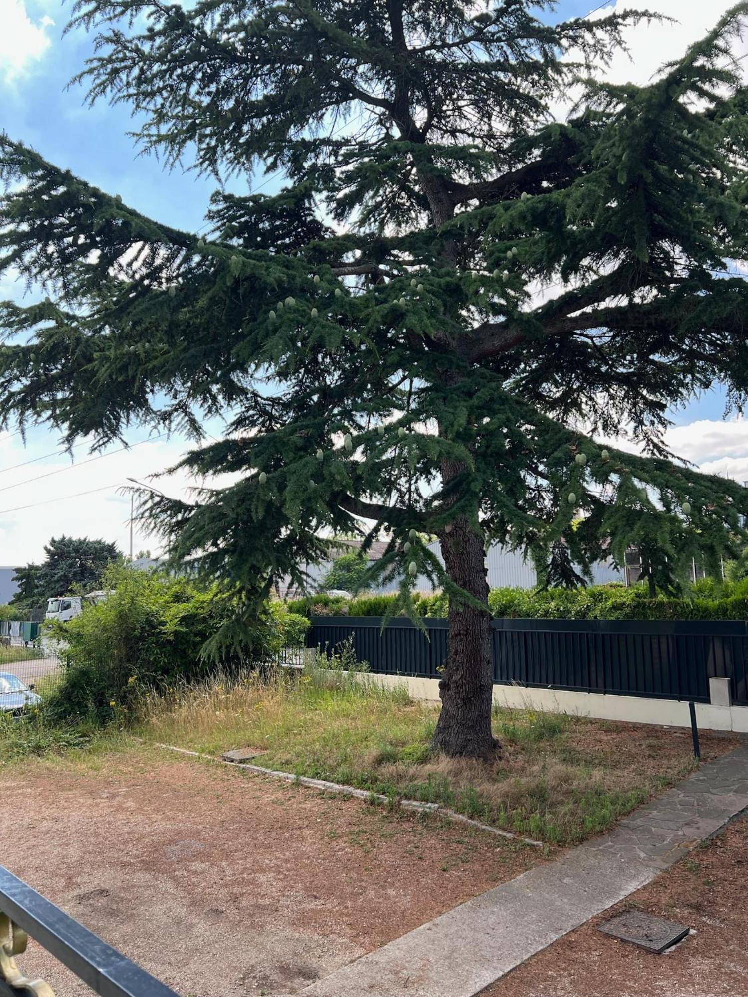 Platanes 2 - Proche Disneyland - Parking Gratuit - Apartment *